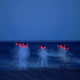 horses